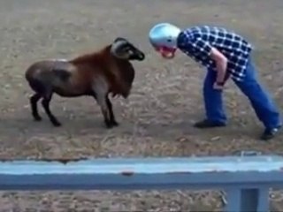 haha so funny ...Must watch