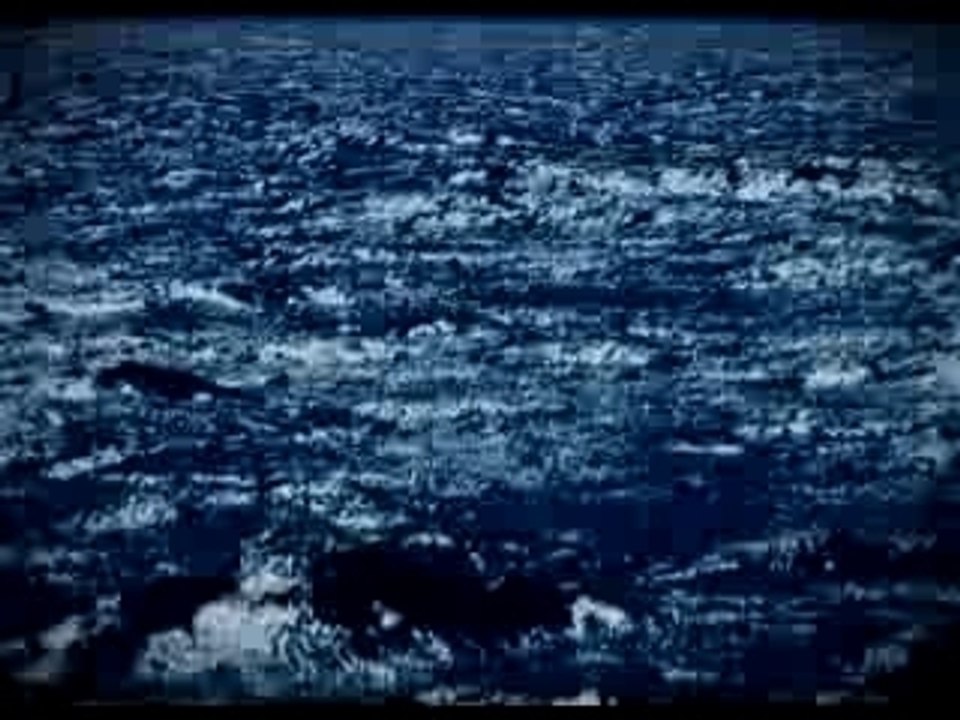 Maná pour Wildcoast