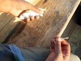 Salt water fishing: Rigging for taru (drift fishing for mackerel)