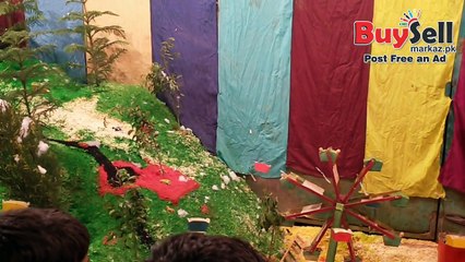 Eid Milad un Nabi 2015 in Pakistan & Pahariyan