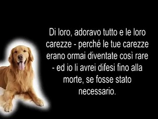 La lettera di un cane al suo padrone