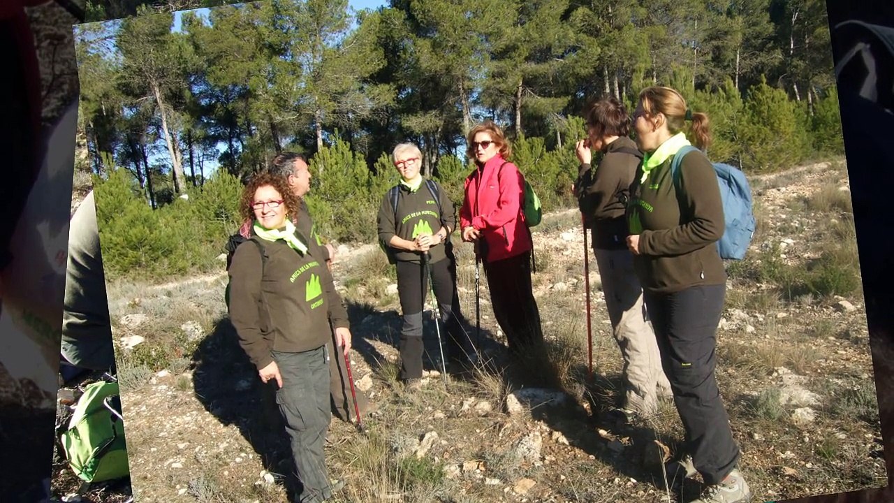 2015-01-04la bastida