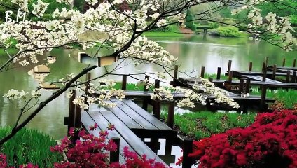 Φύλακας άγγελος -- Γιάννης Κότσιρας