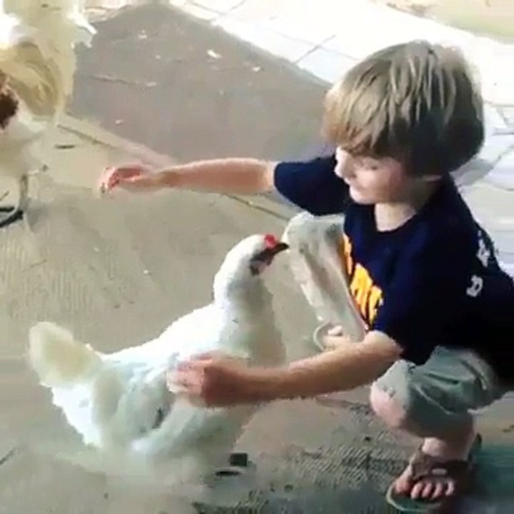 Amazing kid and the hen - Video Dailymotion