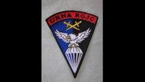 Urna Rojc