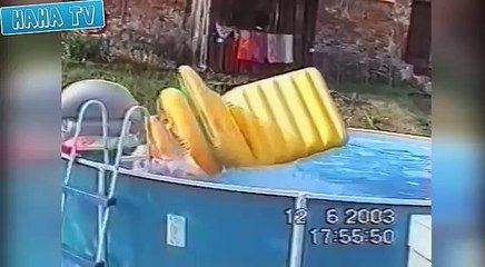 Top FUNNY HOME VIDEOS Compilation July 2014