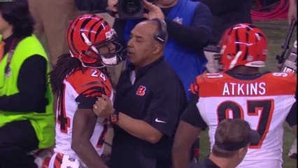 Tempers flare on Bengals sideline