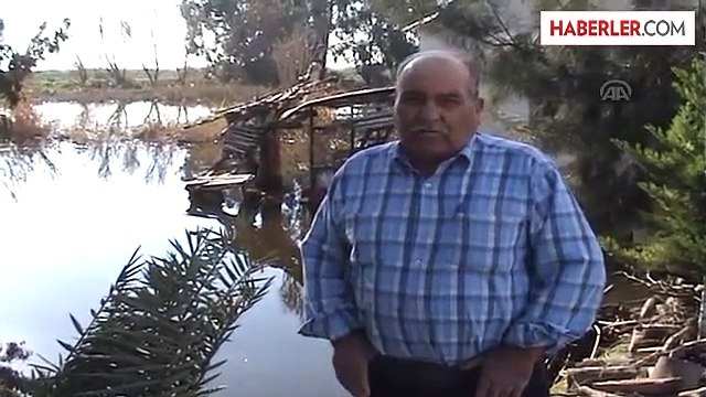 Büyük Menderes Nehri'ndeki Su Taşkını Söke Ovası'nı Vurdu
