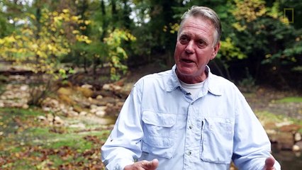 Buried Stream Sees the Light of Day