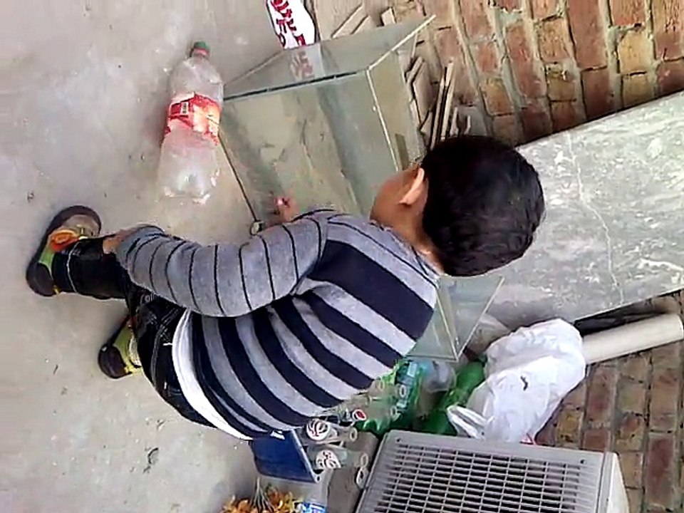 ayan