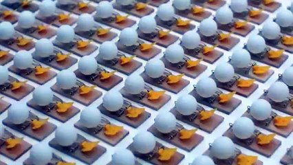 2014 fare tuzağı  ve 2015 pin pon topu mükemmel görüntüler