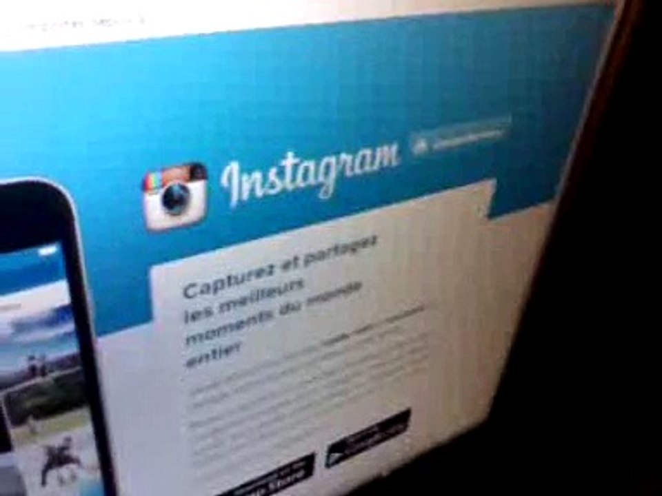 Instagram Fox_0001
