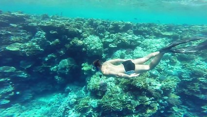 Sharm el sheikh 2014