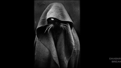 Drum&bass break * DAABAR*