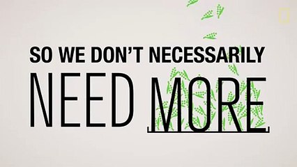 Food by the Numbers Feeding Our Hungry Planet