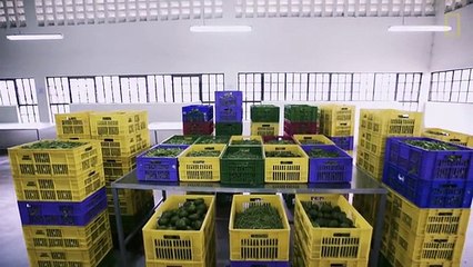 Food-Waste Rebel Wants You to Eat Ugly Food