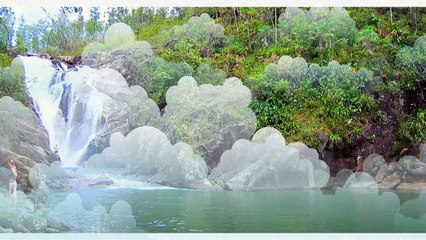 What to See in Mountain Pine Ridge Forest Reserve