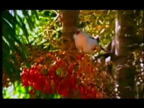 Beautiful Pakistan Television (PTV) Naat Sharif Balaghal Ula Be Kamalehi with subtitles