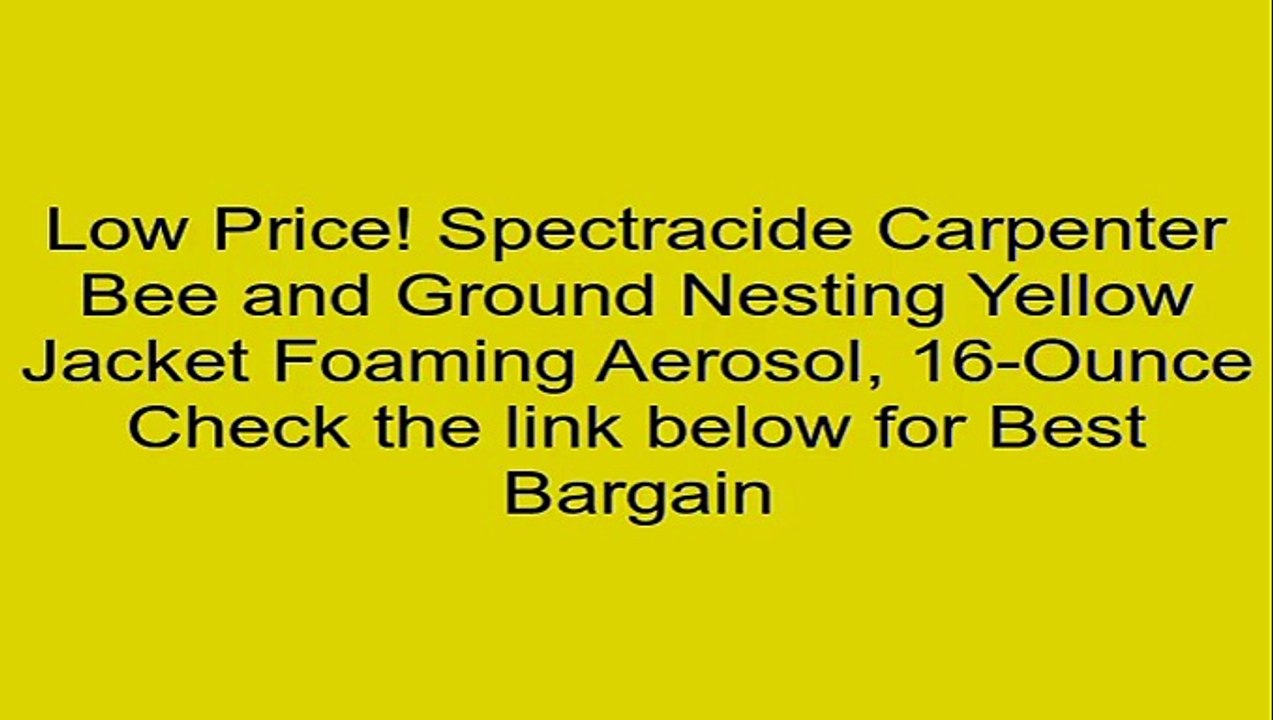 Spectracide Carpenter Bee and Ground Nesting Yellow Jacket Foaming Aerosol, 16-Ounce Review