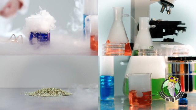 Marijuana Seeds Science Commercial - Testing_ CBD_ CBN - Crop King Seeds Global
