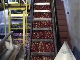 How Its Made - 034 Apple Juice