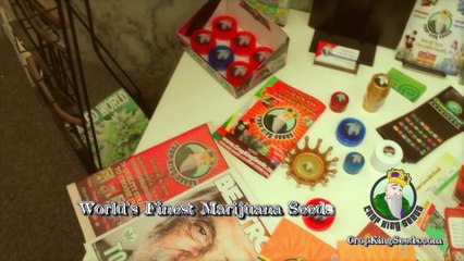 Crop King Seeds Office Operations - An Inside Look At The Company