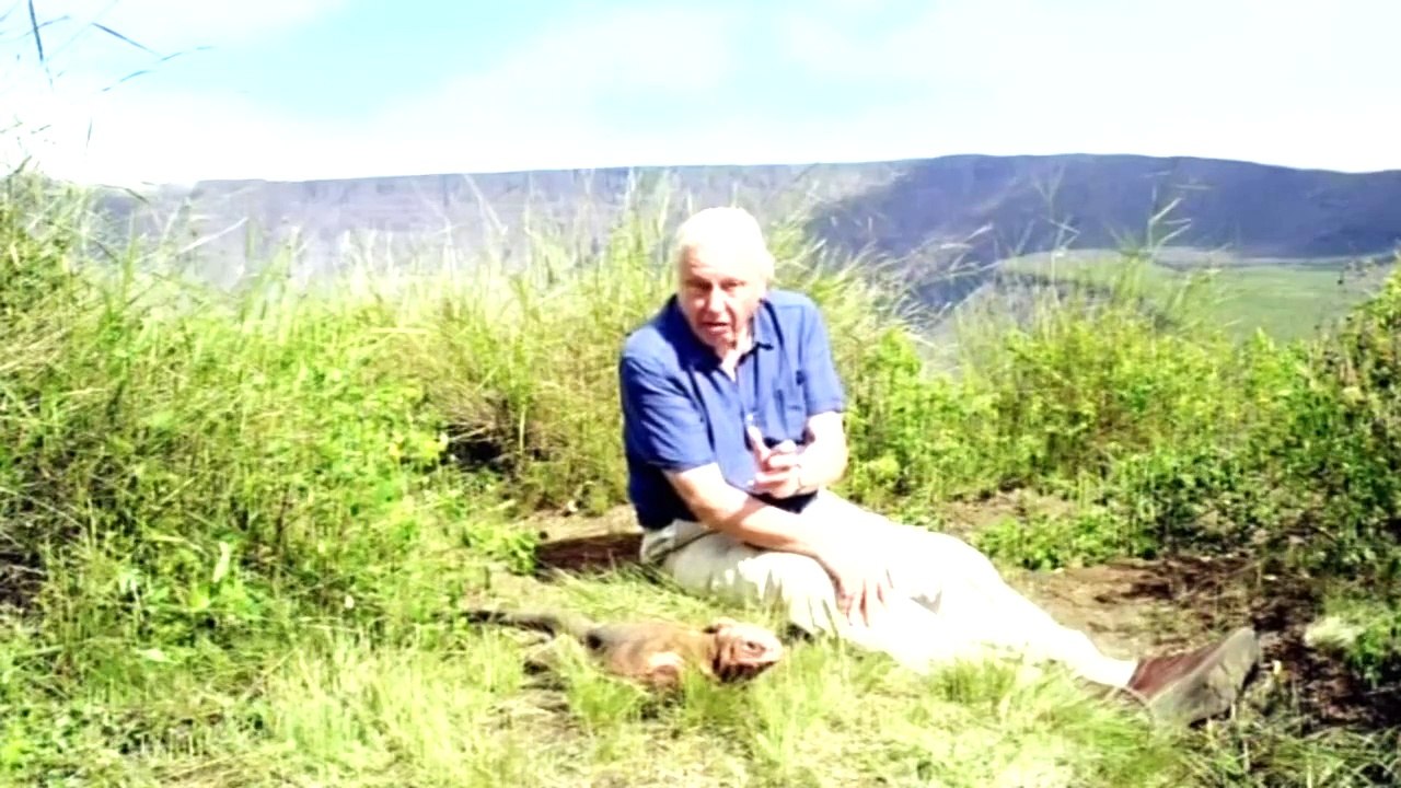 BSkyB.Galapagos.with.David.Attenborough.4of4.The.Making.Of.HDTV.x264.AAC.MVGroup.org