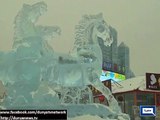 Dunya news- Ice sculptures bring winter wonderland to China