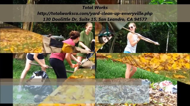 Total Works : Yard Clean Up Emeryville