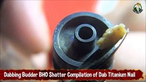 Dabbing Budder BHO Shatter Compilation of Dab Titanium Nail
