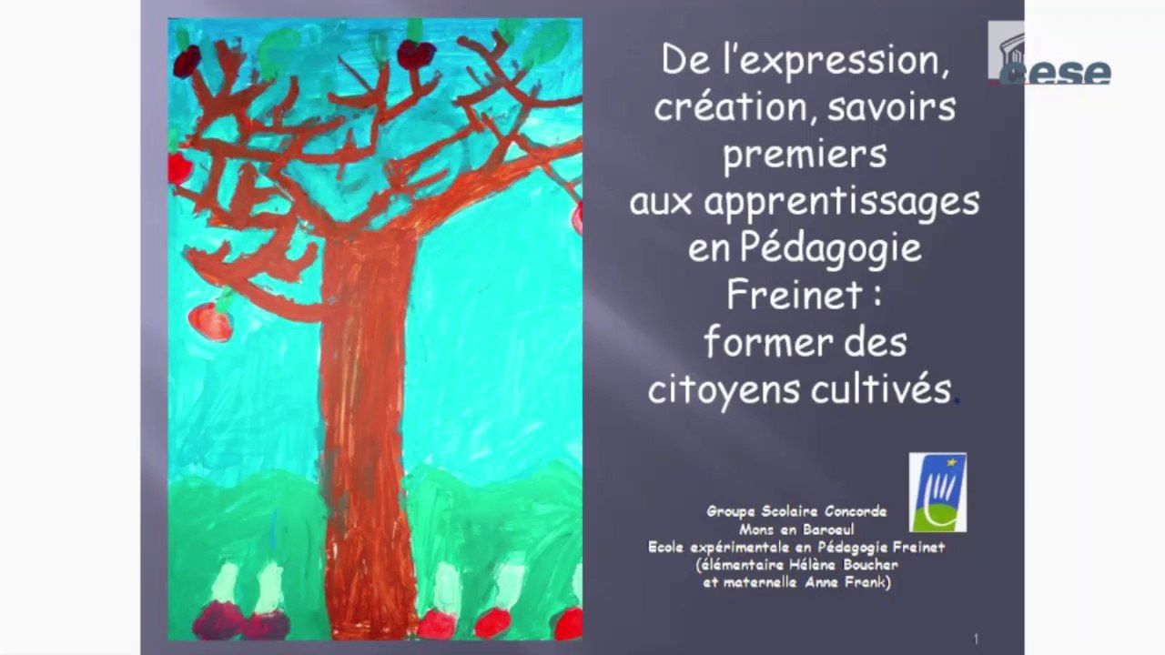Audition d'enseignants de l'école Freinet de Mons-en-Baroeul et Mme REUTER, chercheuse à Lille - cese