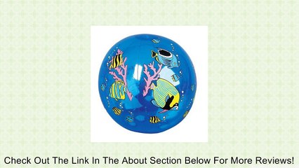 12 Colorful TROPICAL FISH BEACH BALLS/16" BEACHBALL Inflates/POOL PARTY Decor/FAVORS/LUAU/Decorations Review