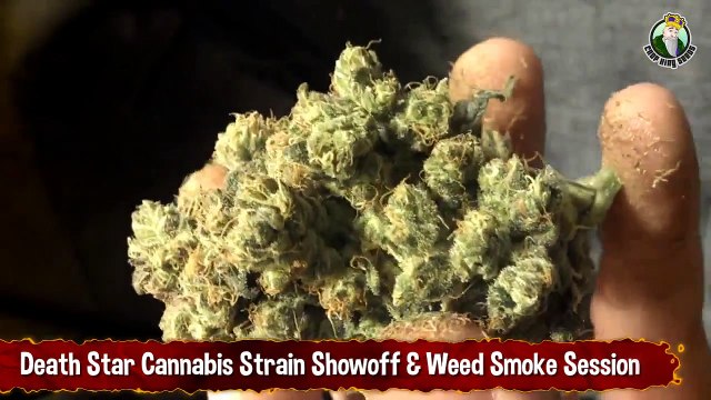 Death Star Cannabis Strain Showoff And Weed Smoke Session Out of a Bong (1)