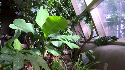 Des Earthships en Belgique, c'est possible?