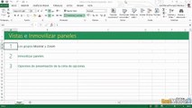 02.06 Vistas e inmovilización de paneles en Excel
