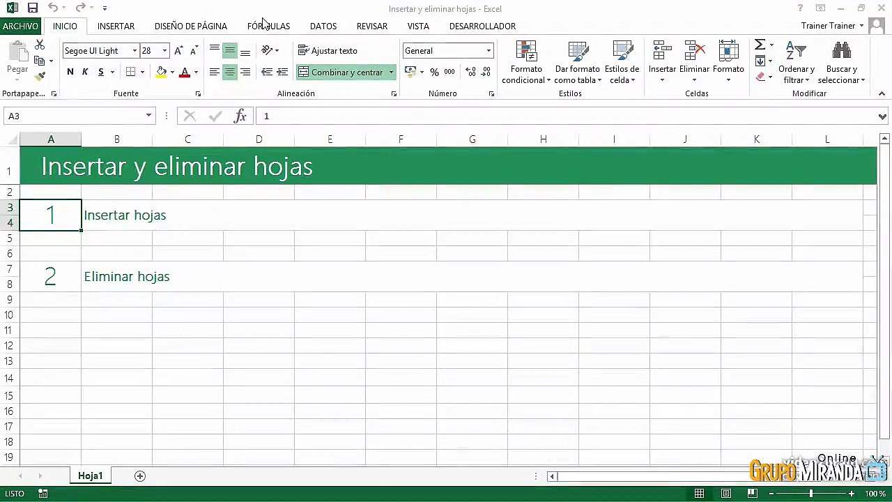 05.05 Insertar y eliminar hojas
