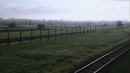 Criminal Doctors, Auschwitz - Extrait