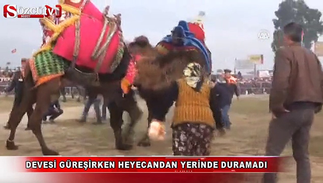 Devesi güreşirken heyecandan yerinde duramadı