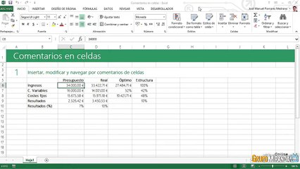06.08 Comentarios en celdas
