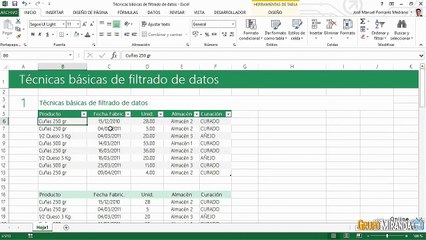 08.06 Técnicas básicas de filtrado de datos en Excel