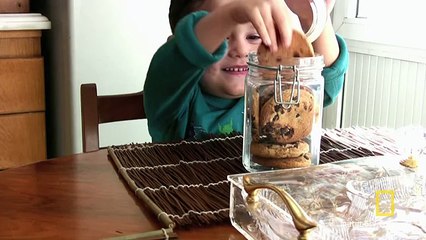 Jason Silva on Addiction