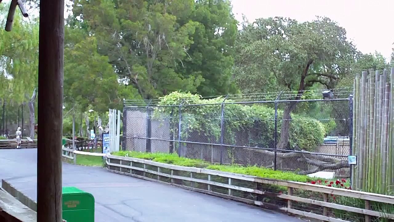 Six Flags Discovery Kingdom: Animal Nursery/Vet Clinic