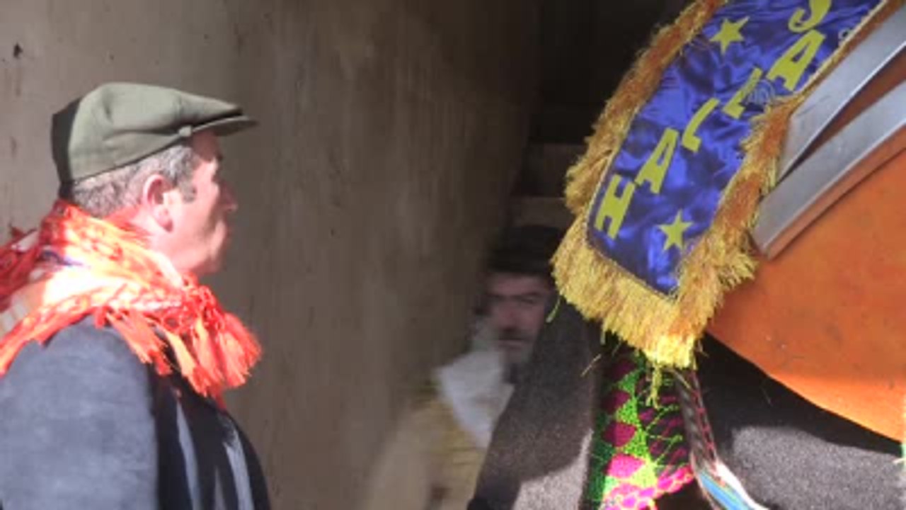 Lüks Konut Fiyatına Deve