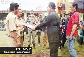 Penyuluhan PT NSP perawatan Lahan | Erwin Thaib Channel