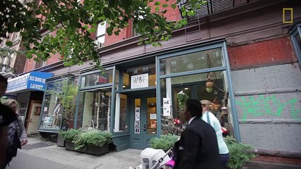 Life and Death in a Bird E.R.