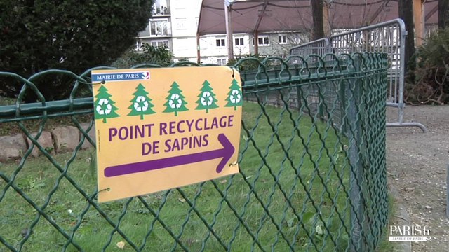 Comment recycler son sapin de Noël ?