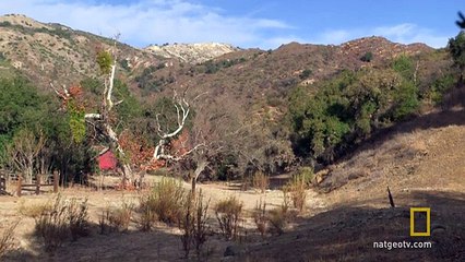 Live Free or Die DIY How to Make Kimchi