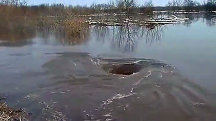 Korkutucu Girdap Birden Ortaya Çıktı