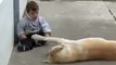 Sweet Mama Dog Interacting with a Beautiful Child with Down Syndrome. From Mona Coul