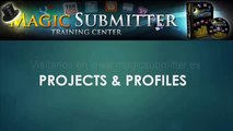 4 Creacion de perfiles y proyectos - Magic Submitter en Español